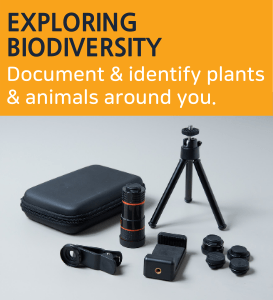 Exploring Biodiversity: Document & identify plants & animals around you